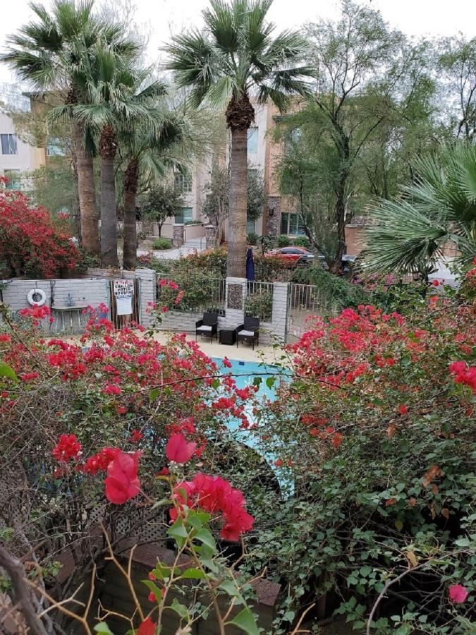 Desert Rose Villas - Private One Bedroom In Old Town Scottsdale Exterior photo